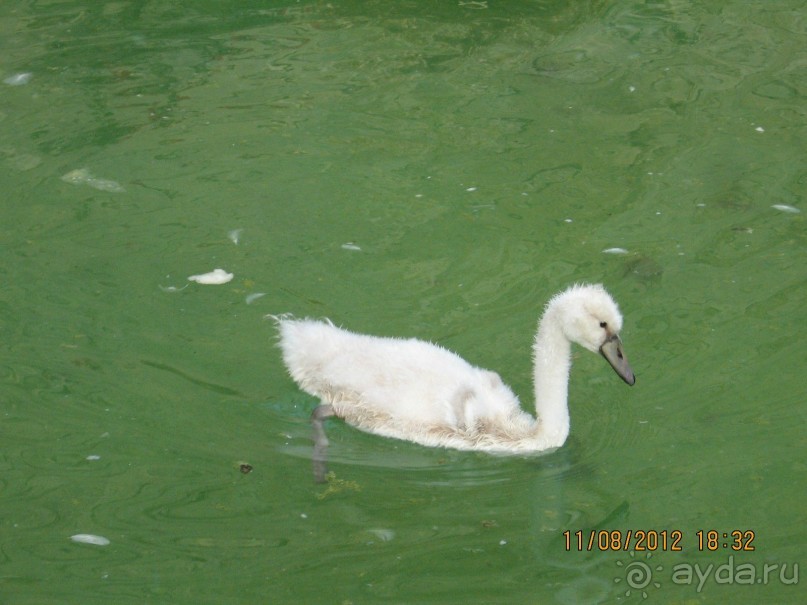 Увлекательно-развлекательная Майорка