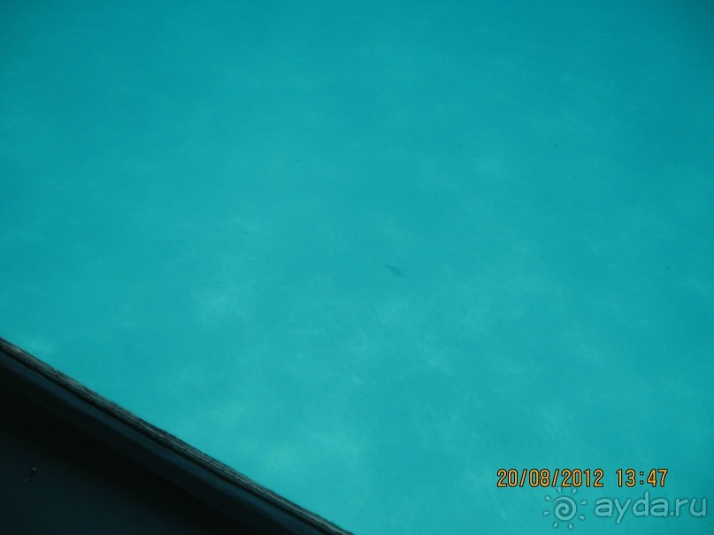 Увлекательно-развлекательная Майорка