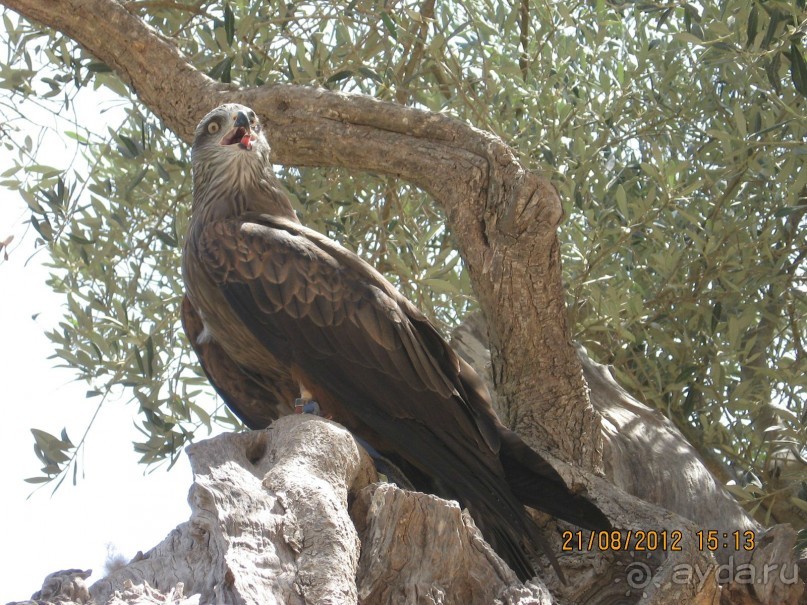 Увлекательно-развлекательная Майорка