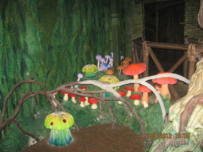 Увлекательно-развлекательная Майорка