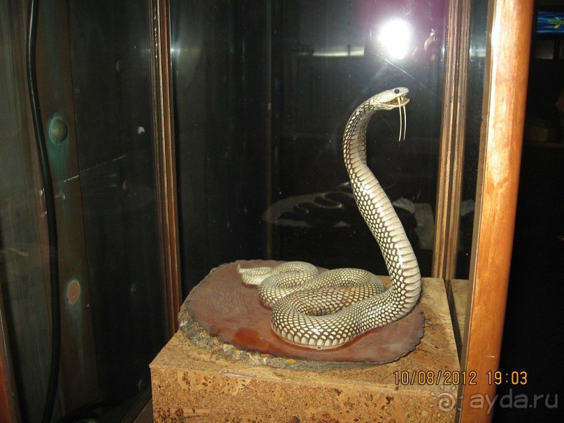 Увлекательно-развлекательная Майорка