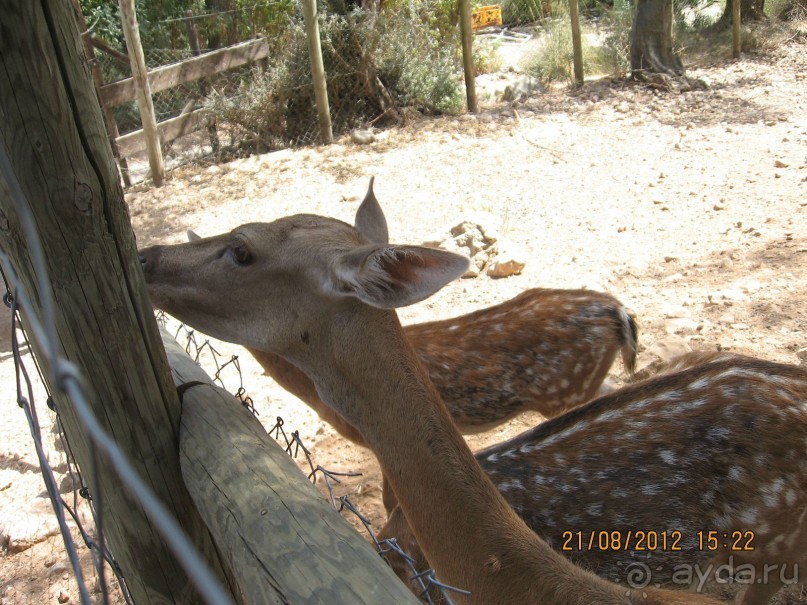 Увлекательно-развлекательная Майорка