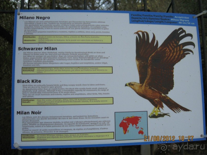 Увлекательно-развлекательная Майорка