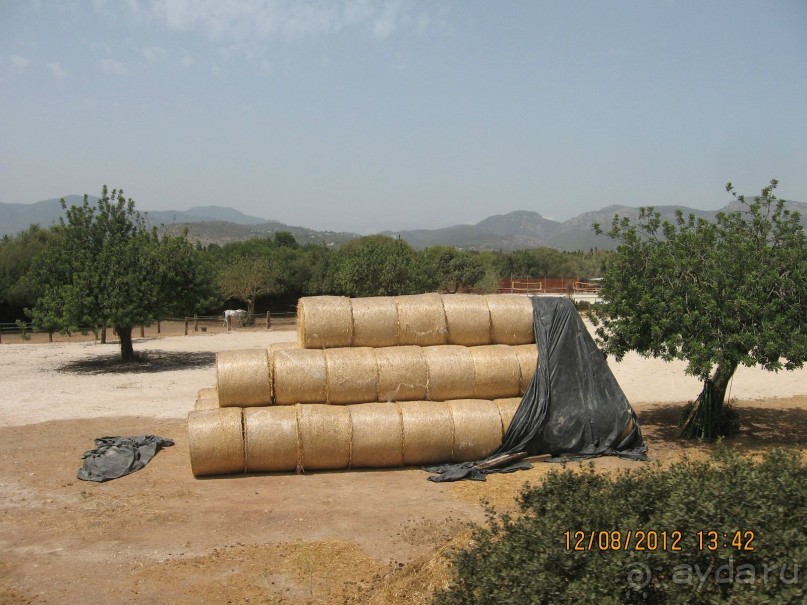 Увлекательно-развлекательная Майорка
