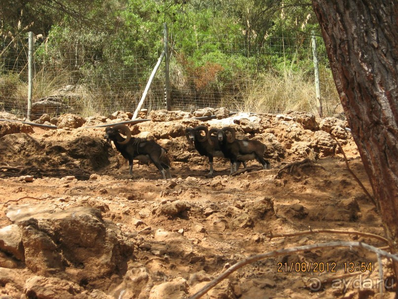 Увлекательно-развлекательная Майорка