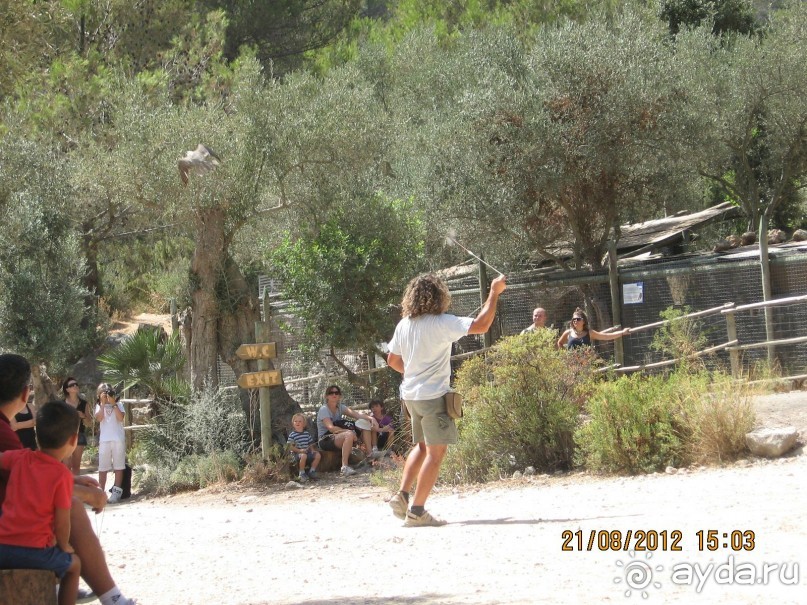 Увлекательно-развлекательная Майорка