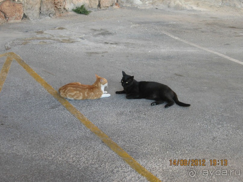 Увлекательно-развлекательная Майорка