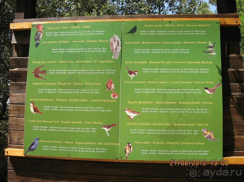 Увлекательно-развлекательная Майорка