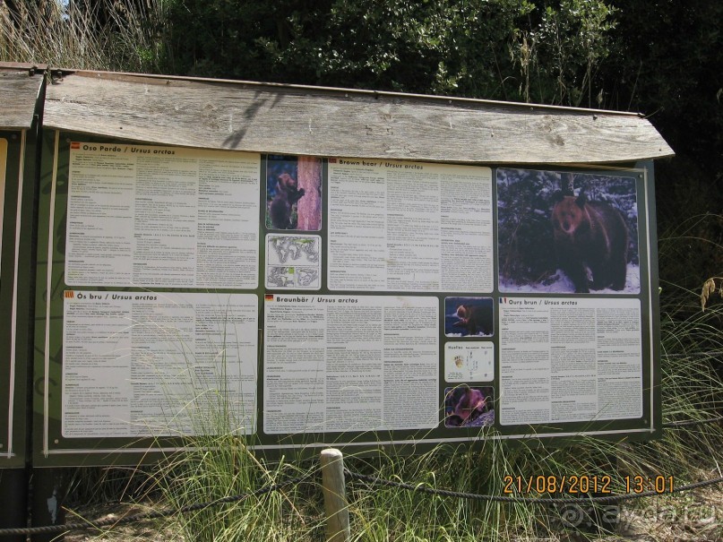 Увлекательно-развлекательная Майорка