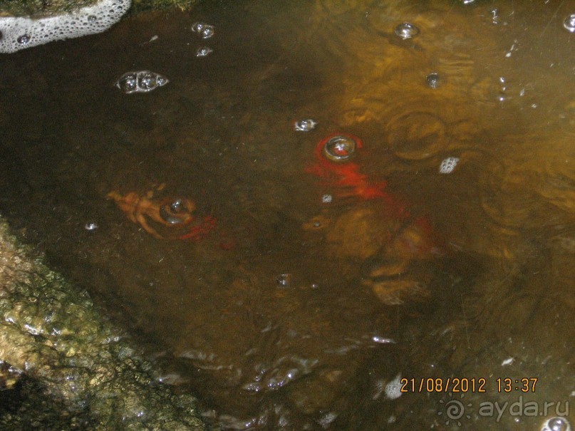 Увлекательно-развлекательная Майорка