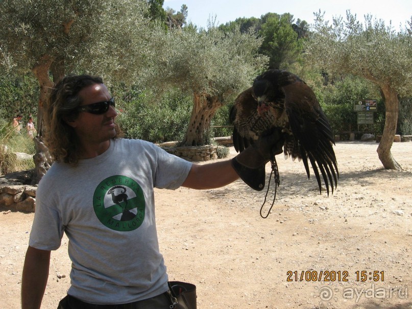 Увлекательно-развлекательная Майорка