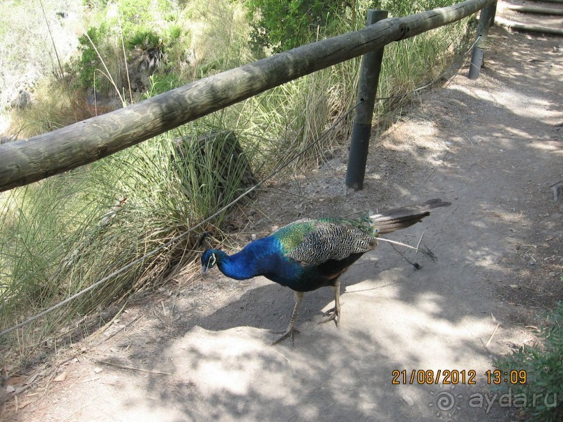 Увлекательно-развлекательная Майорка