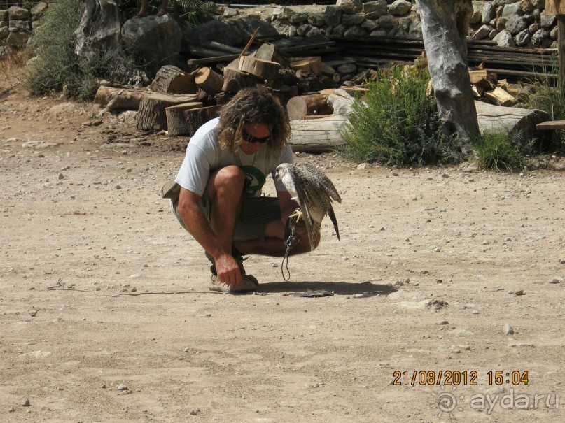 Увлекательно-развлекательная Майорка