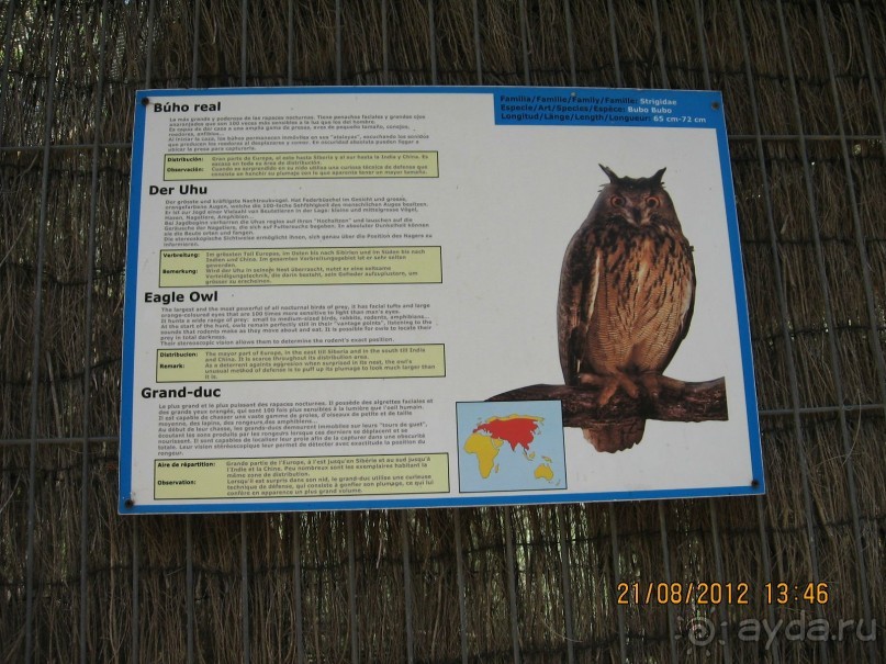 Увлекательно-развлекательная Майорка