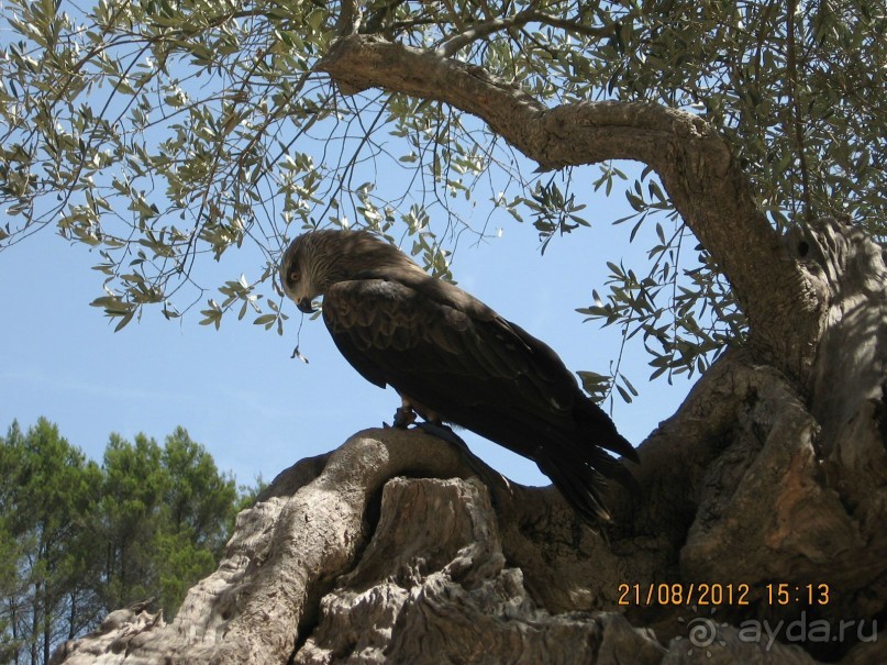 Увлекательно-развлекательная Майорка