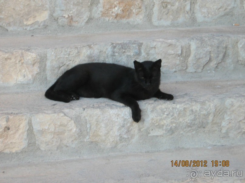 Увлекательно-развлекательная Майорка