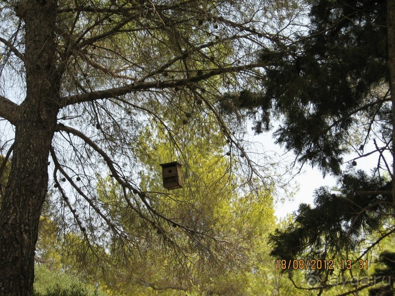 Увлекательно-развлекательная Майорка