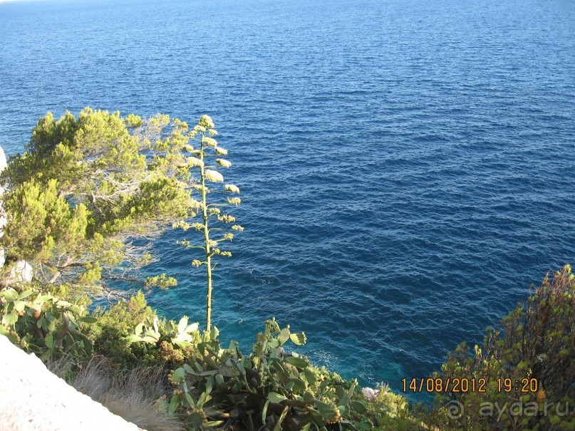 Увлекательно-развлекательная Майорка