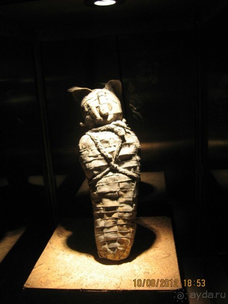 Увлекательно-развлекательная Майорка