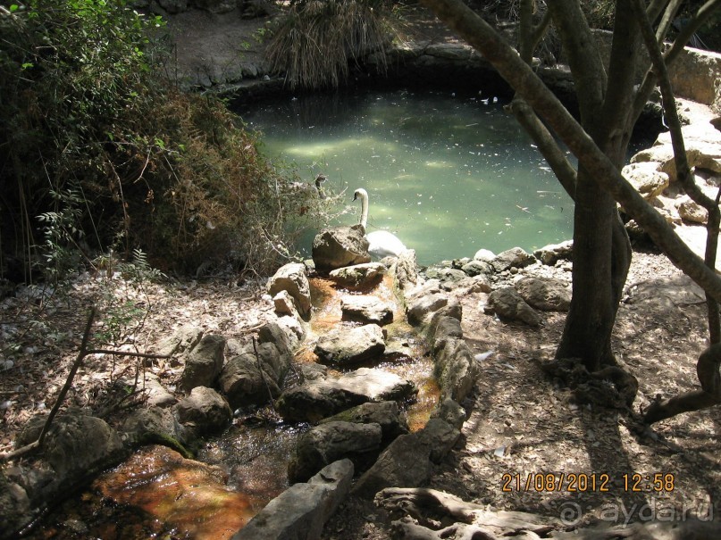 Увлекательно-развлекательная Майорка