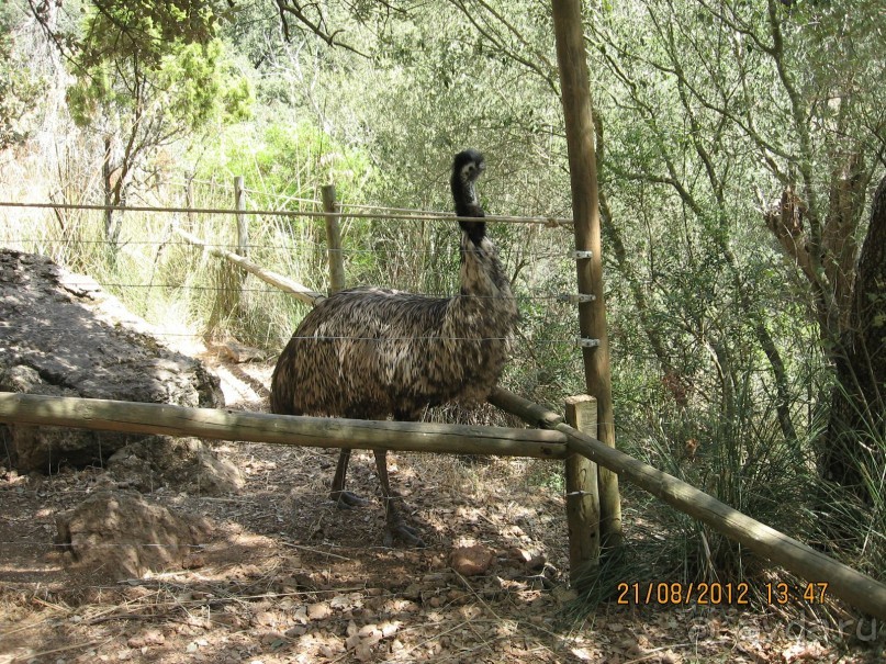 Увлекательно-развлекательная Майорка