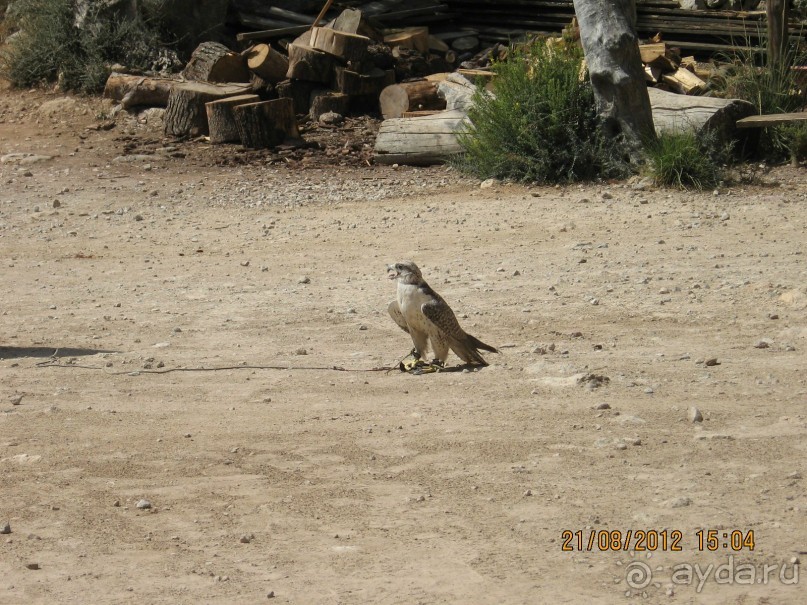 Увлекательно-развлекательная Майорка