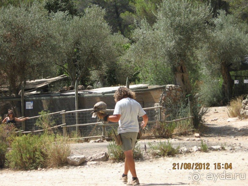 Увлекательно-развлекательная Майорка