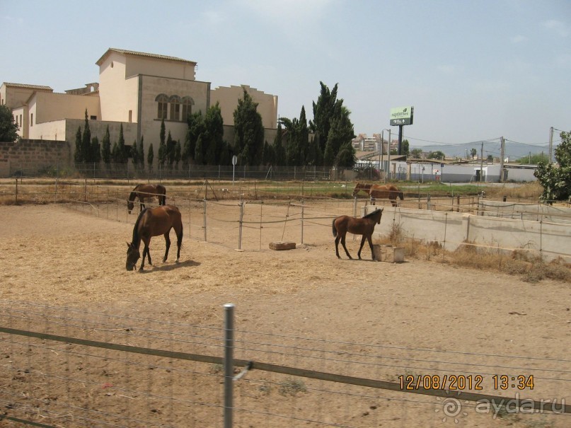 Увлекательно-развлекательная Майорка