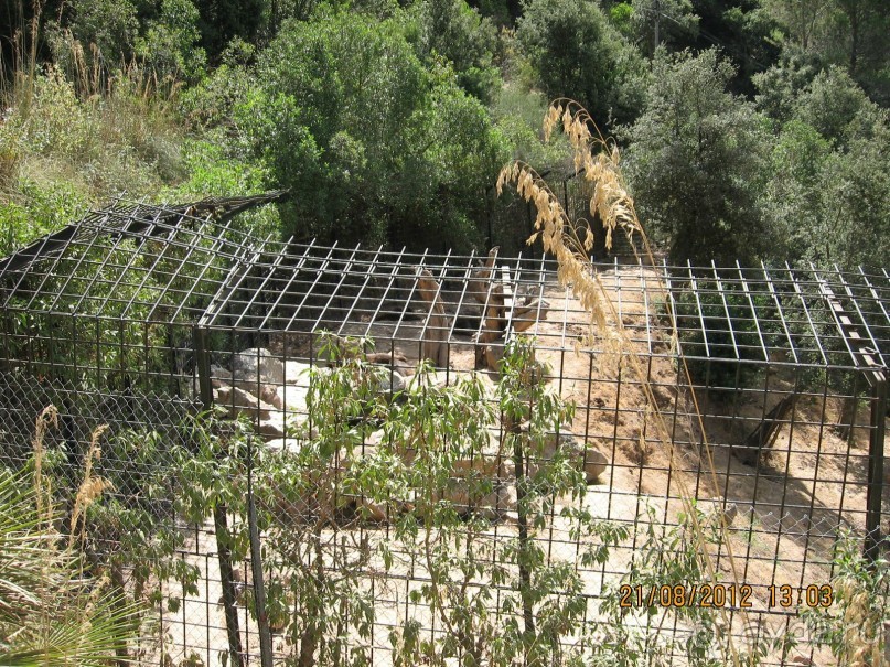 Увлекательно-развлекательная Майорка