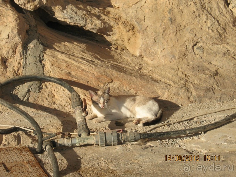 Увлекательно-развлекательная Майорка