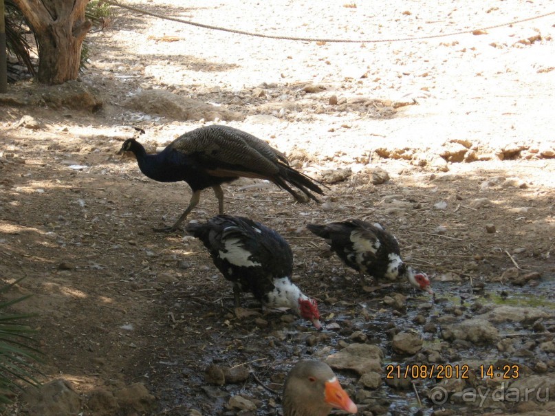 Увлекательно-развлекательная Майорка