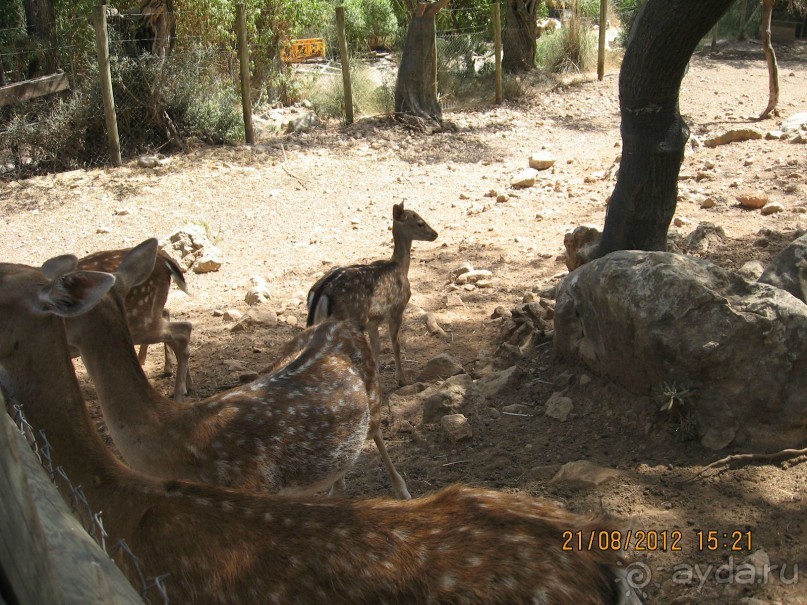 Увлекательно-развлекательная Майорка