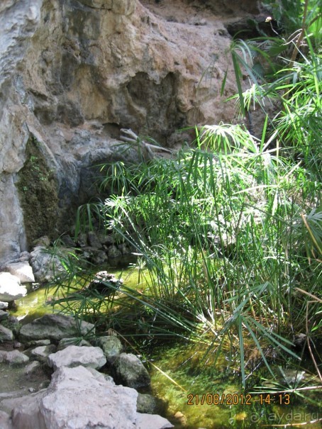 Увлекательно-развлекательная Майорка