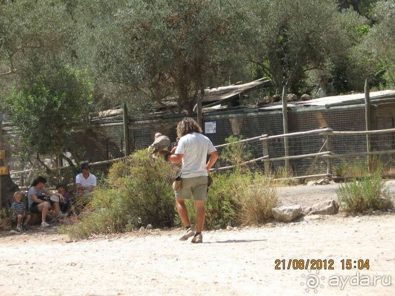 Увлекательно-развлекательная Майорка