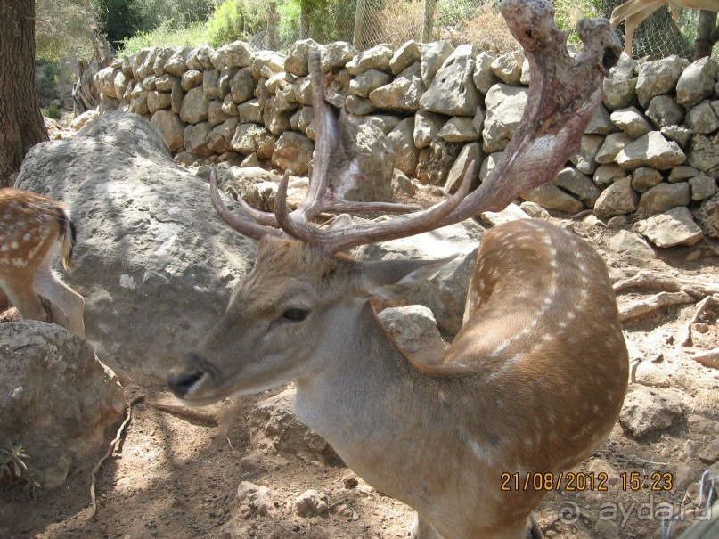 Увлекательно-развлекательная Майорка