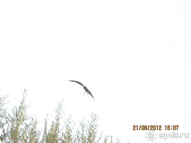 Увлекательно-развлекательная Майорка