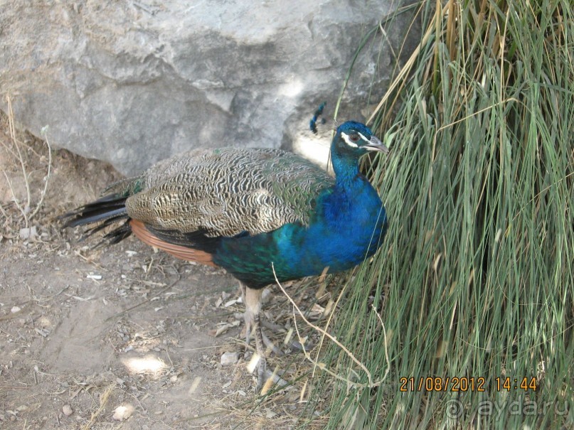 Увлекательно-развлекательная Майорка