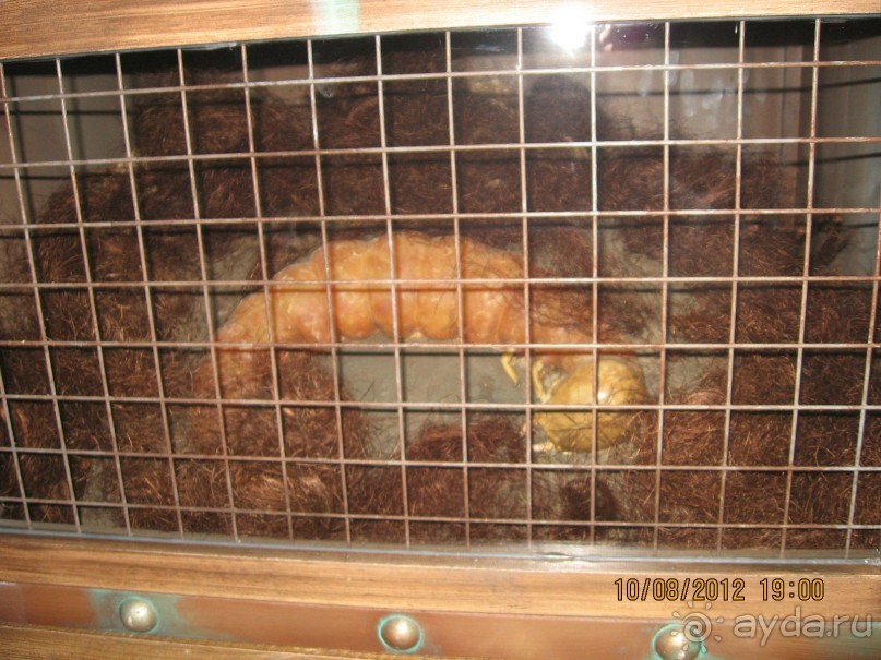 Увлекательно-развлекательная Майорка