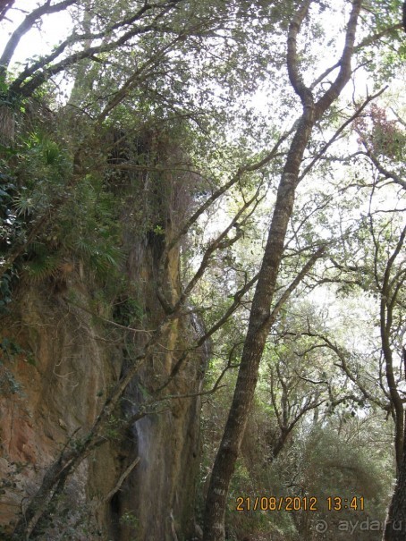 Увлекательно-развлекательная Майорка