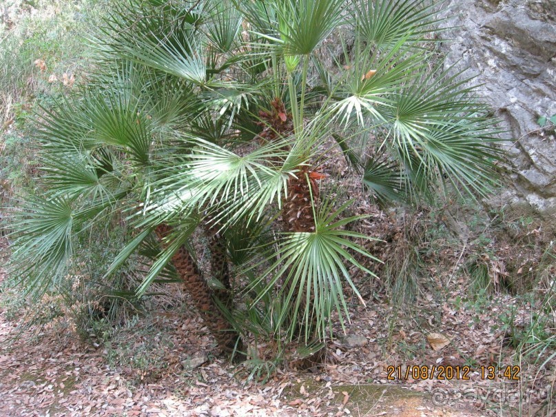 Увлекательно-развлекательная Майорка