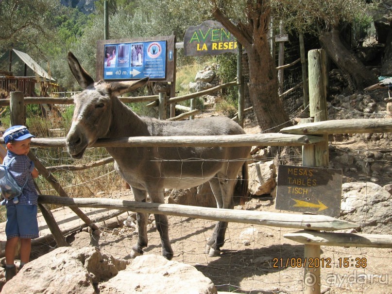 Увлекательно-развлекательная Майорка