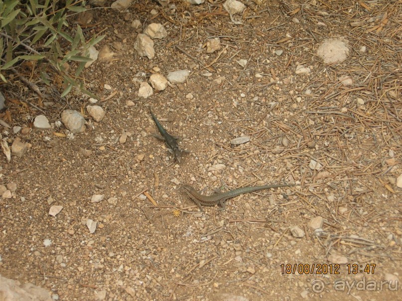 Увлекательно-развлекательная Майорка