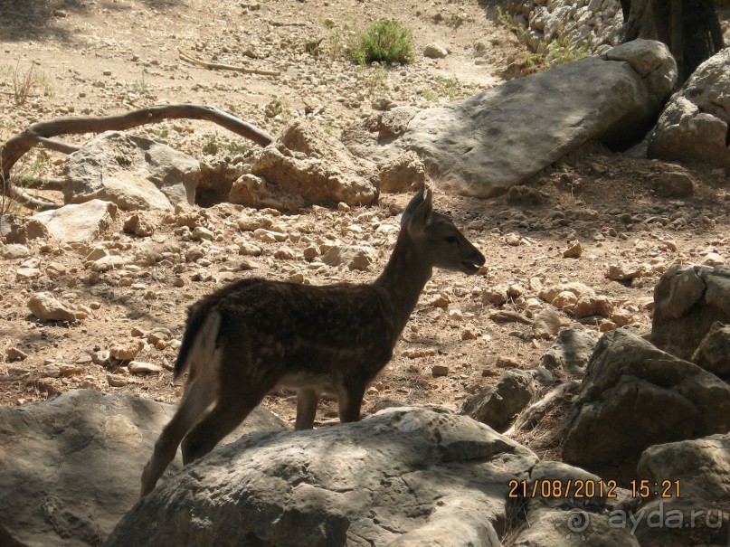 Увлекательно-развлекательная Майорка