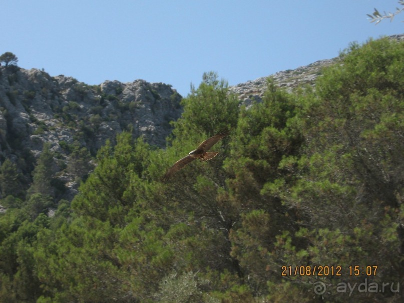 Увлекательно-развлекательная Майорка