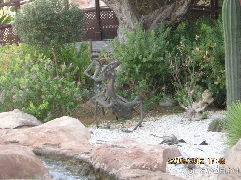 Увлекательно-развлекательная Майорка