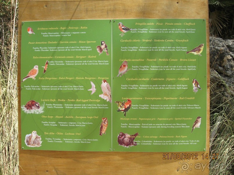 Увлекательно-развлекательная Майорка