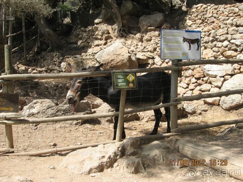 Увлекательно-развлекательная Майорка