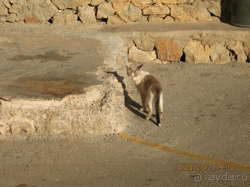 Увлекательно-развлекательная Майорка