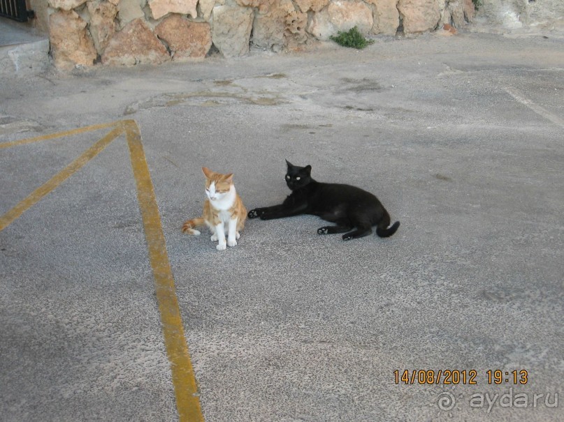 Увлекательно-развлекательная Майорка