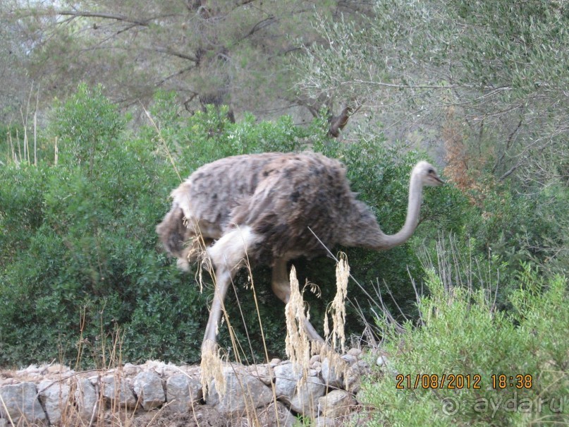 Увлекательно-развлекательная Майорка